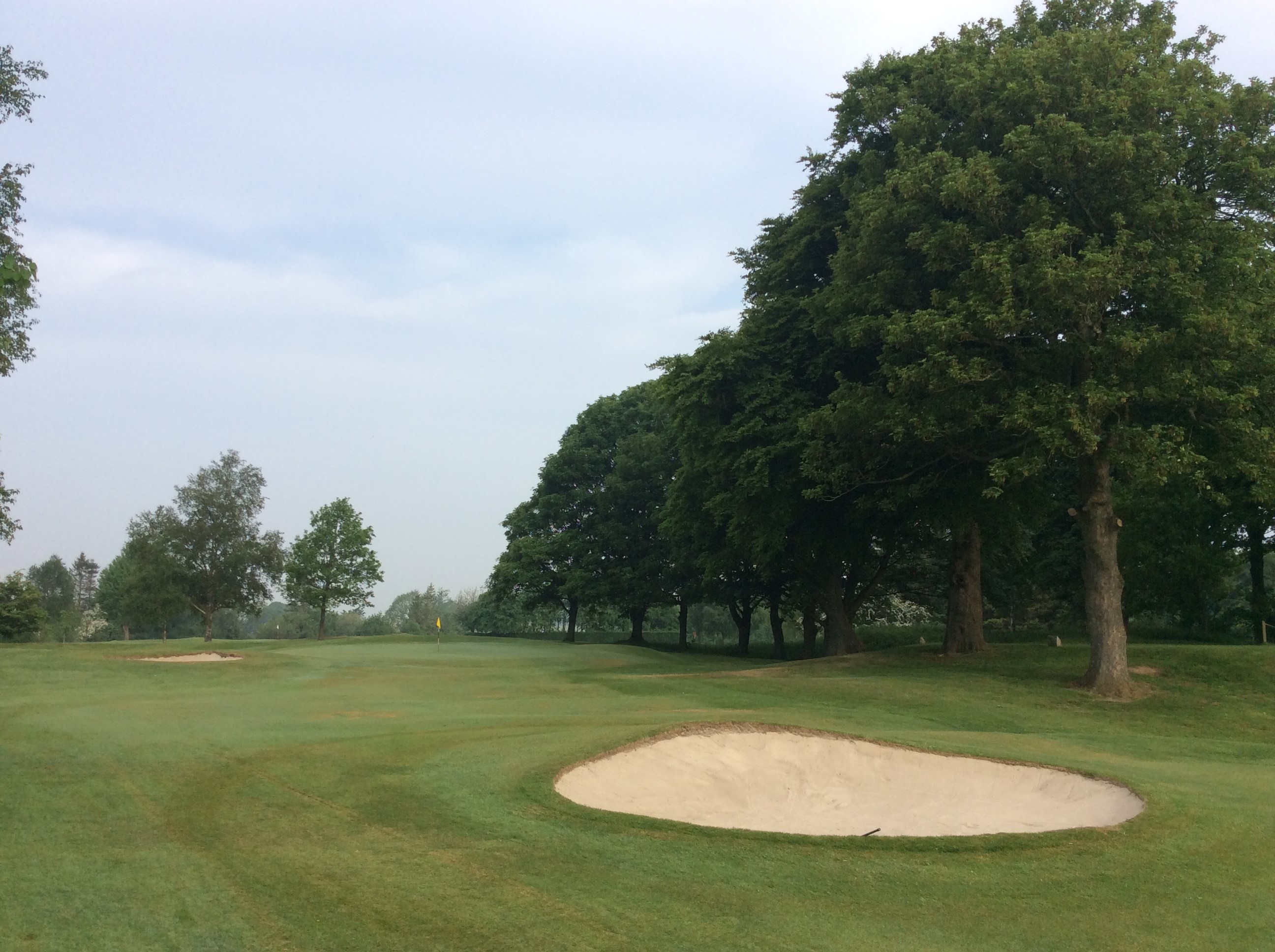 Lady's South League Match.