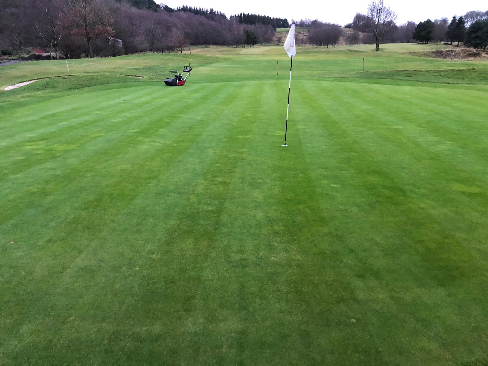 Greens on and cut.