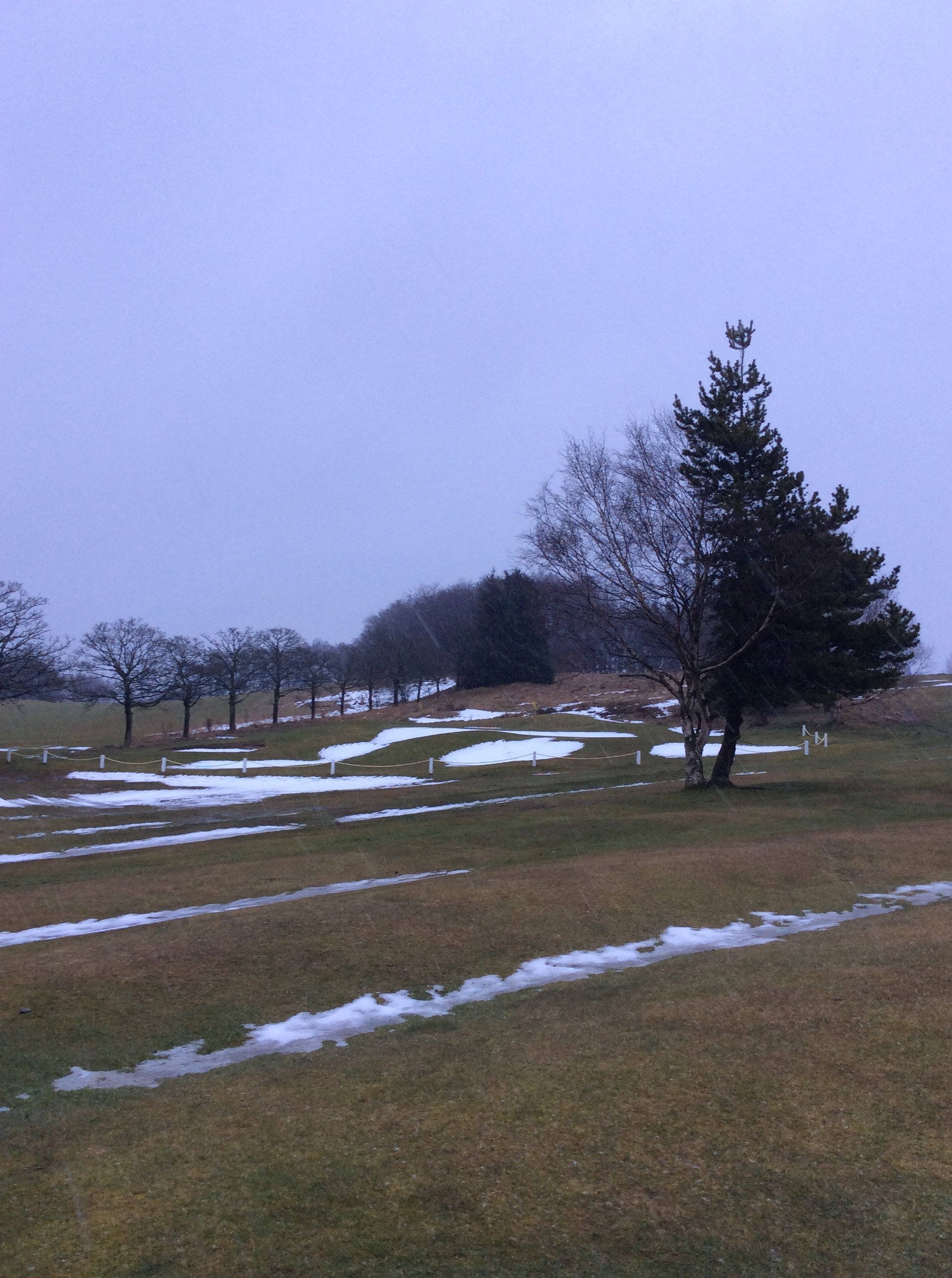 Course status update