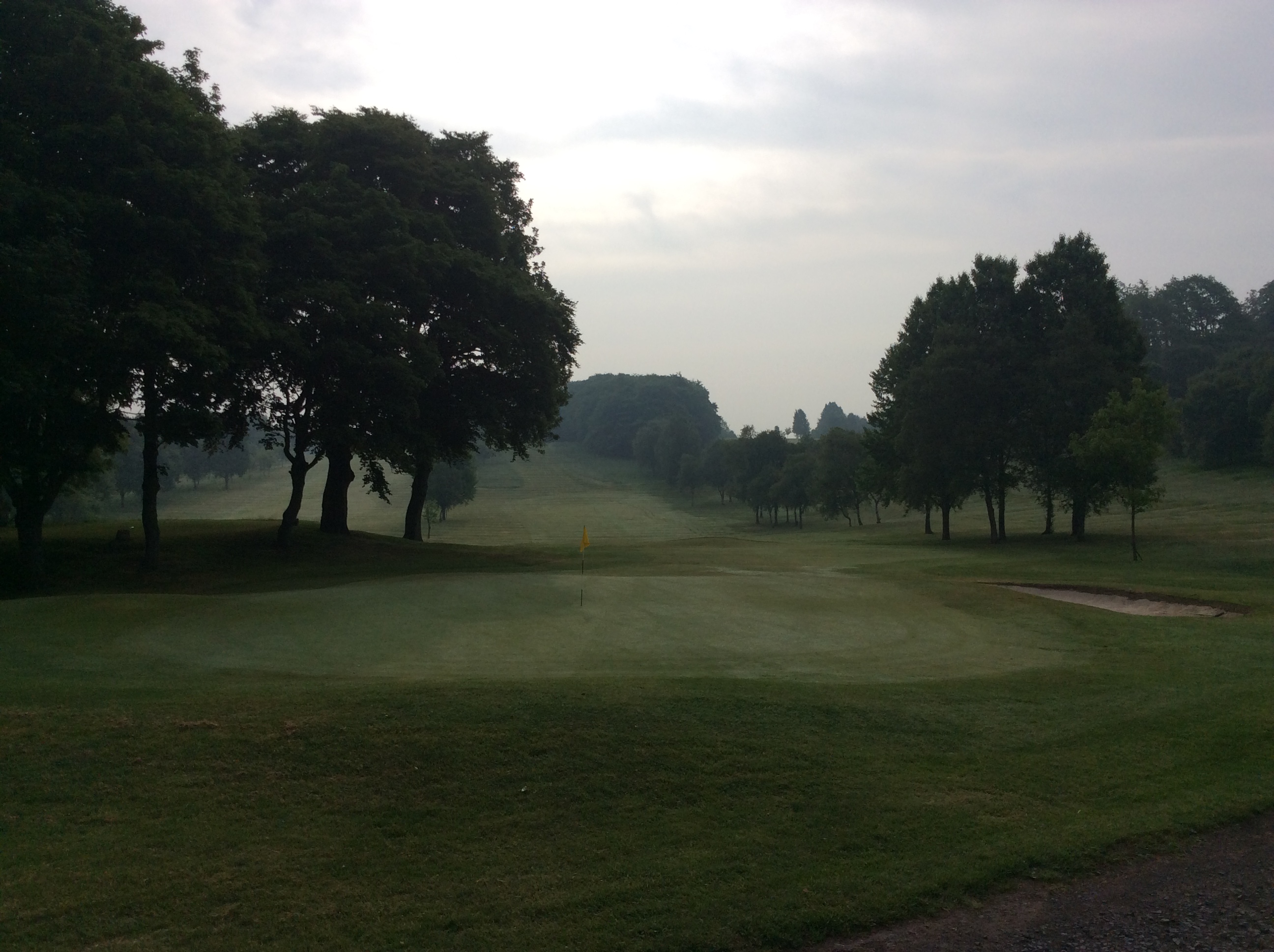 Junior and Lady's Matches.