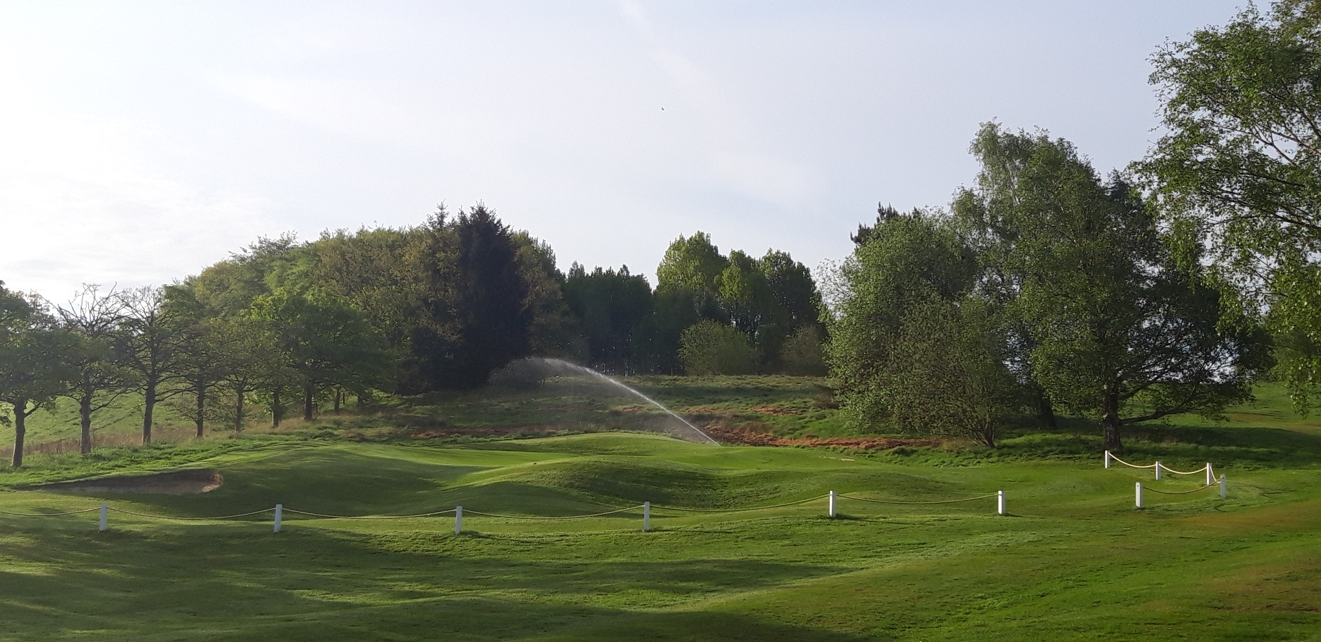 Junior Match & Ladies Past Captains