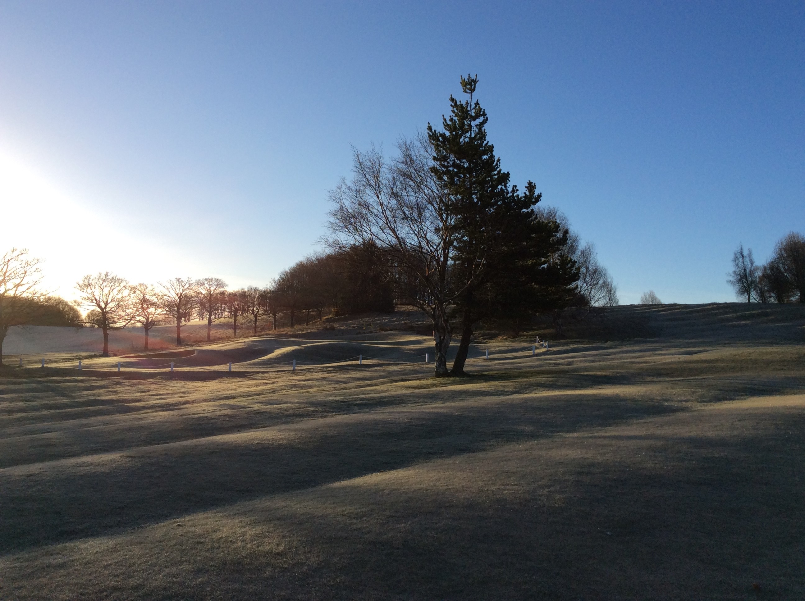 Temporary greens in play 