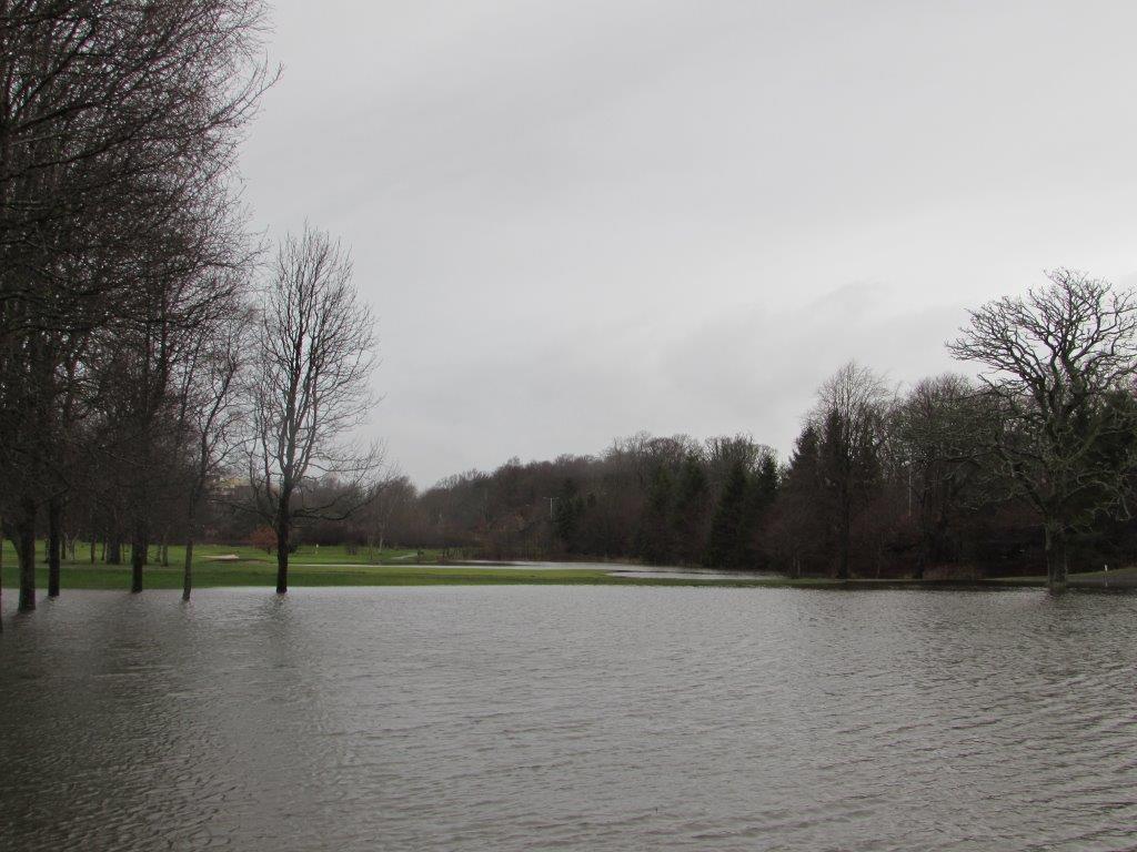 Closed. Inspection @ 11am