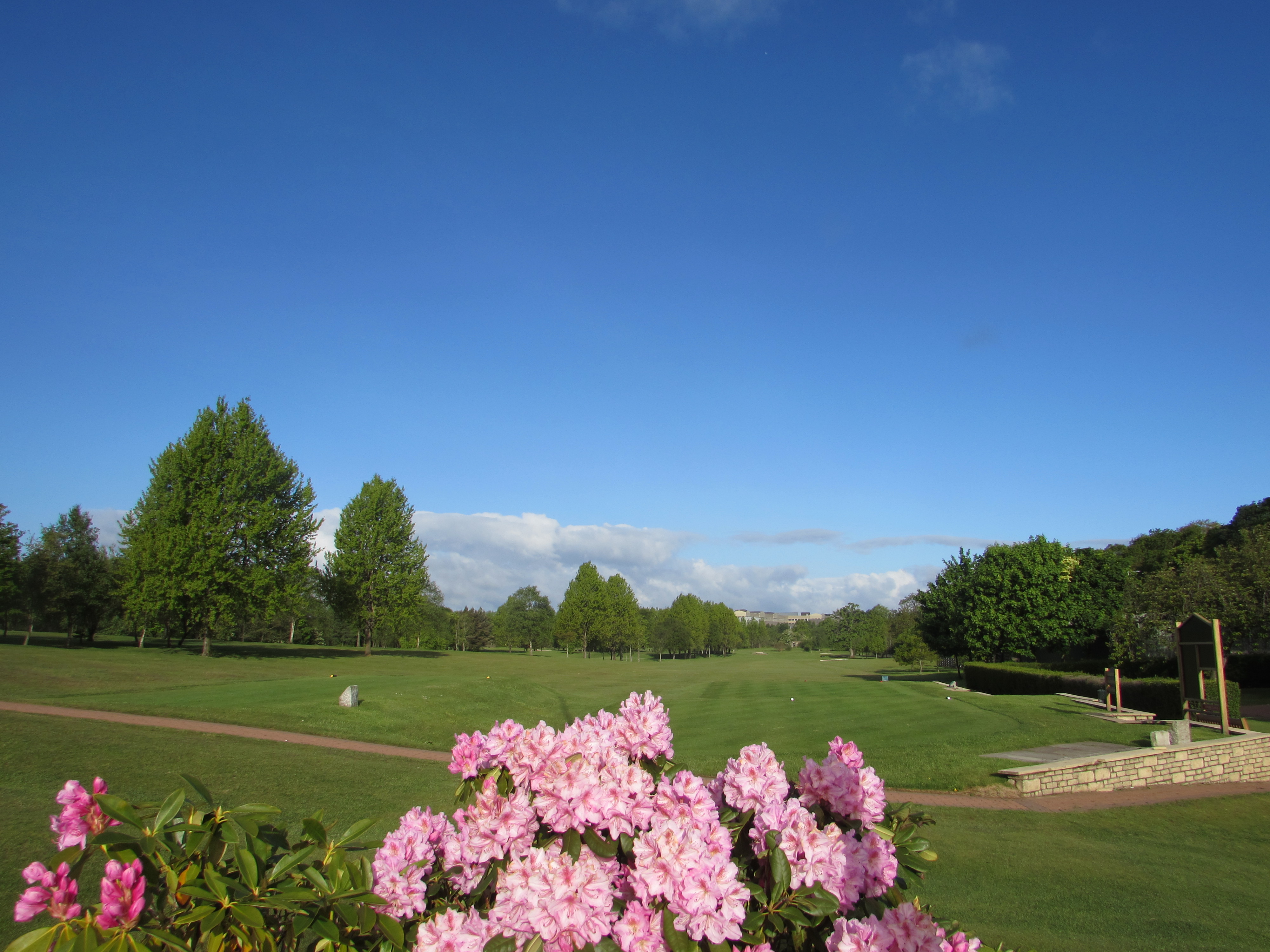 Greenlees Team Result