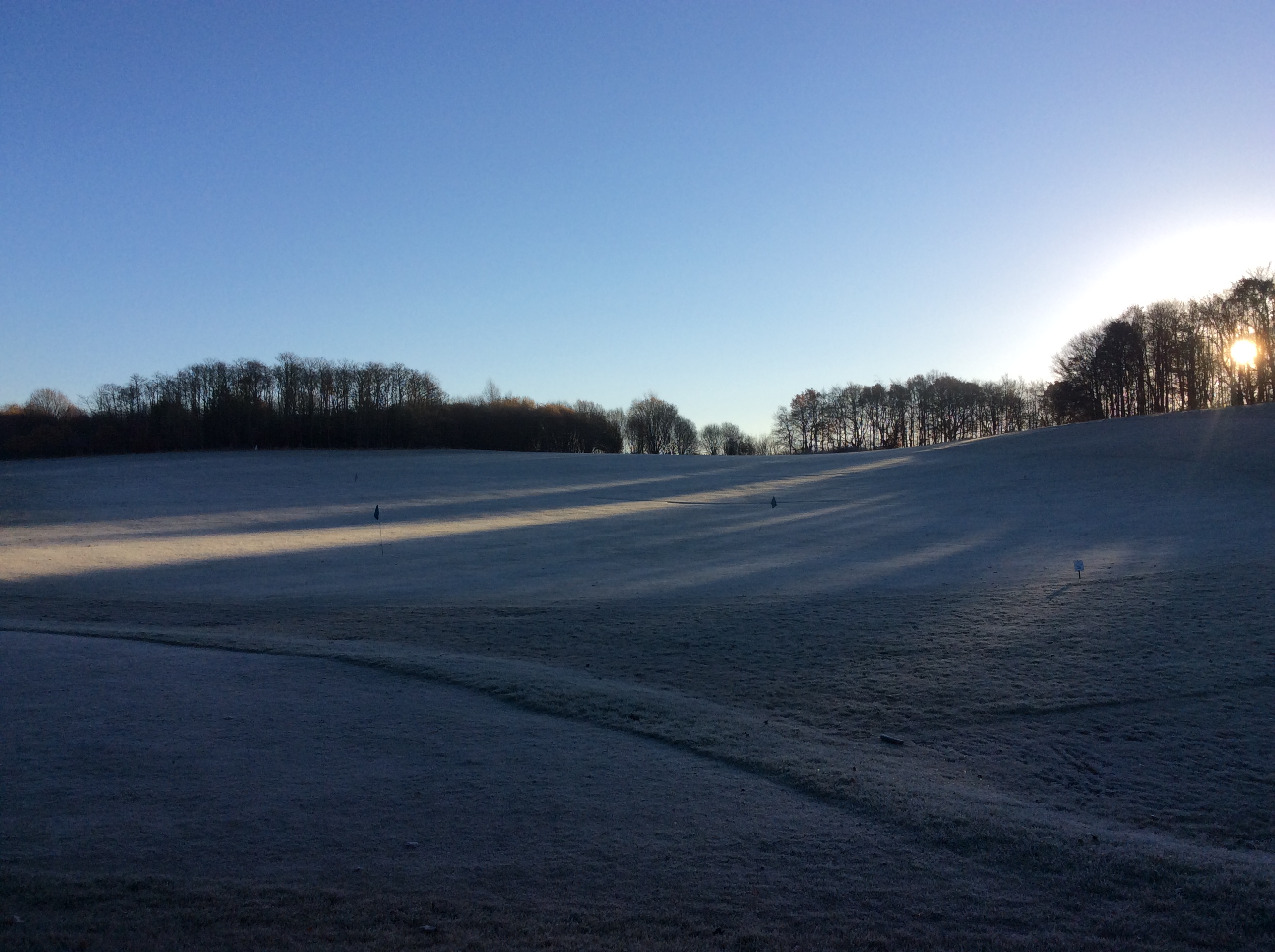 Temporary Greens. No buggies
