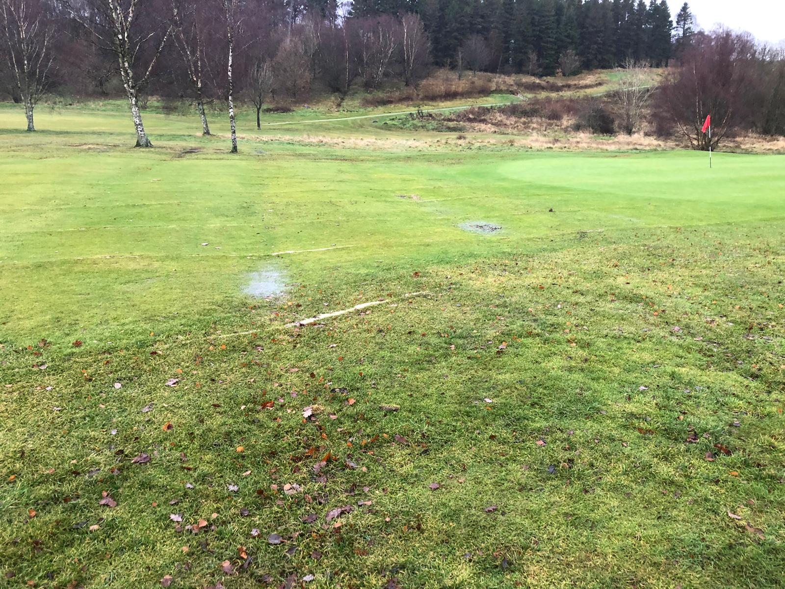 Course open with mixture of temps and full greens.