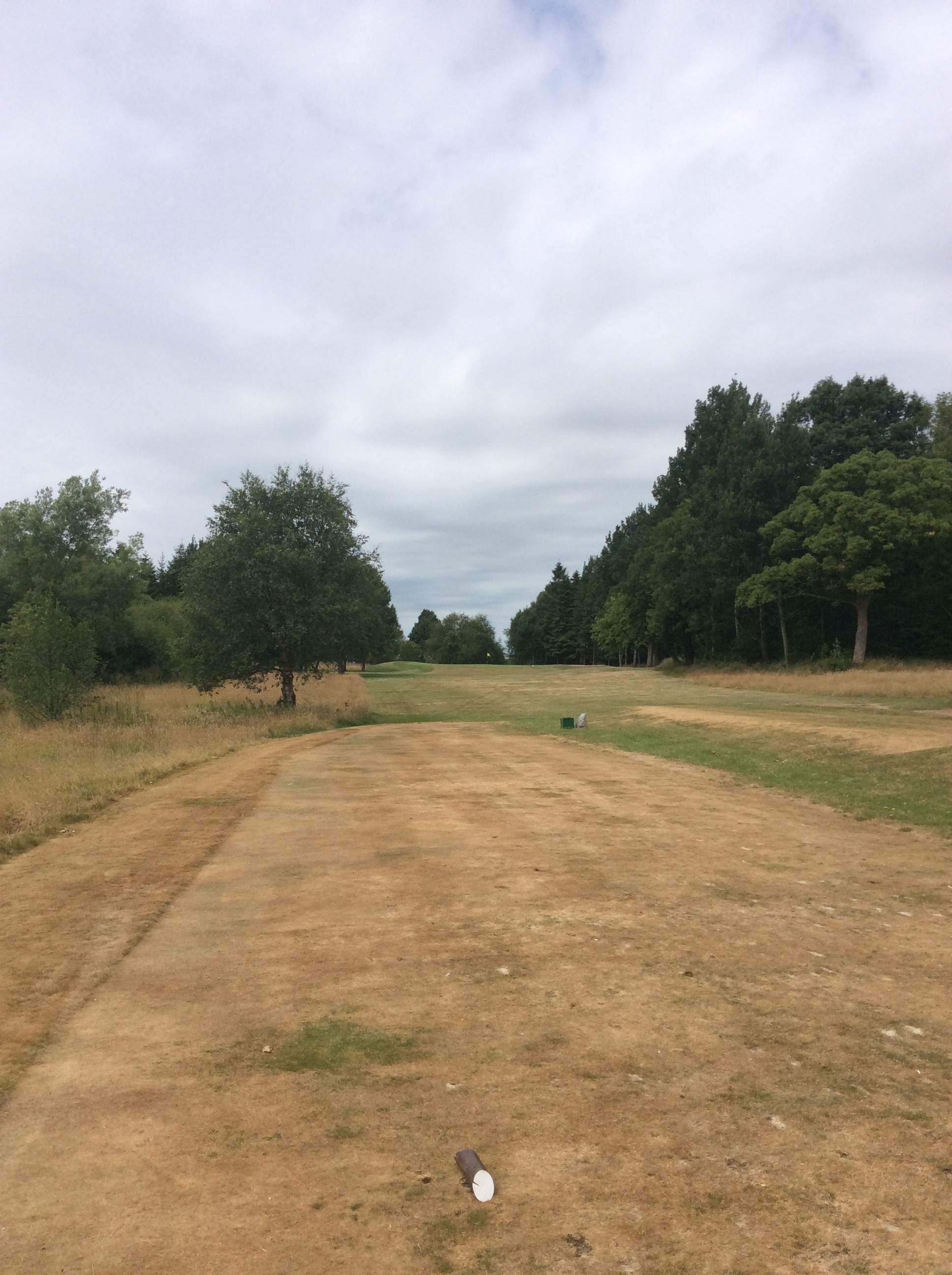 Edgar Weir  Trophy/Professional's Putter