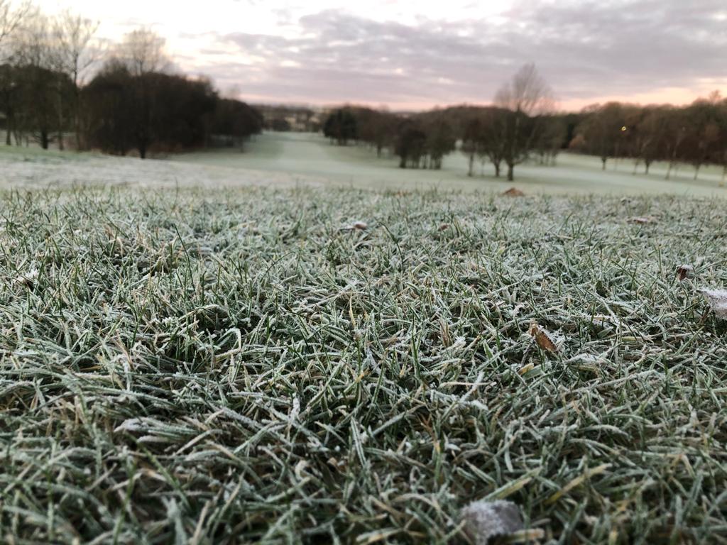 Another cold start