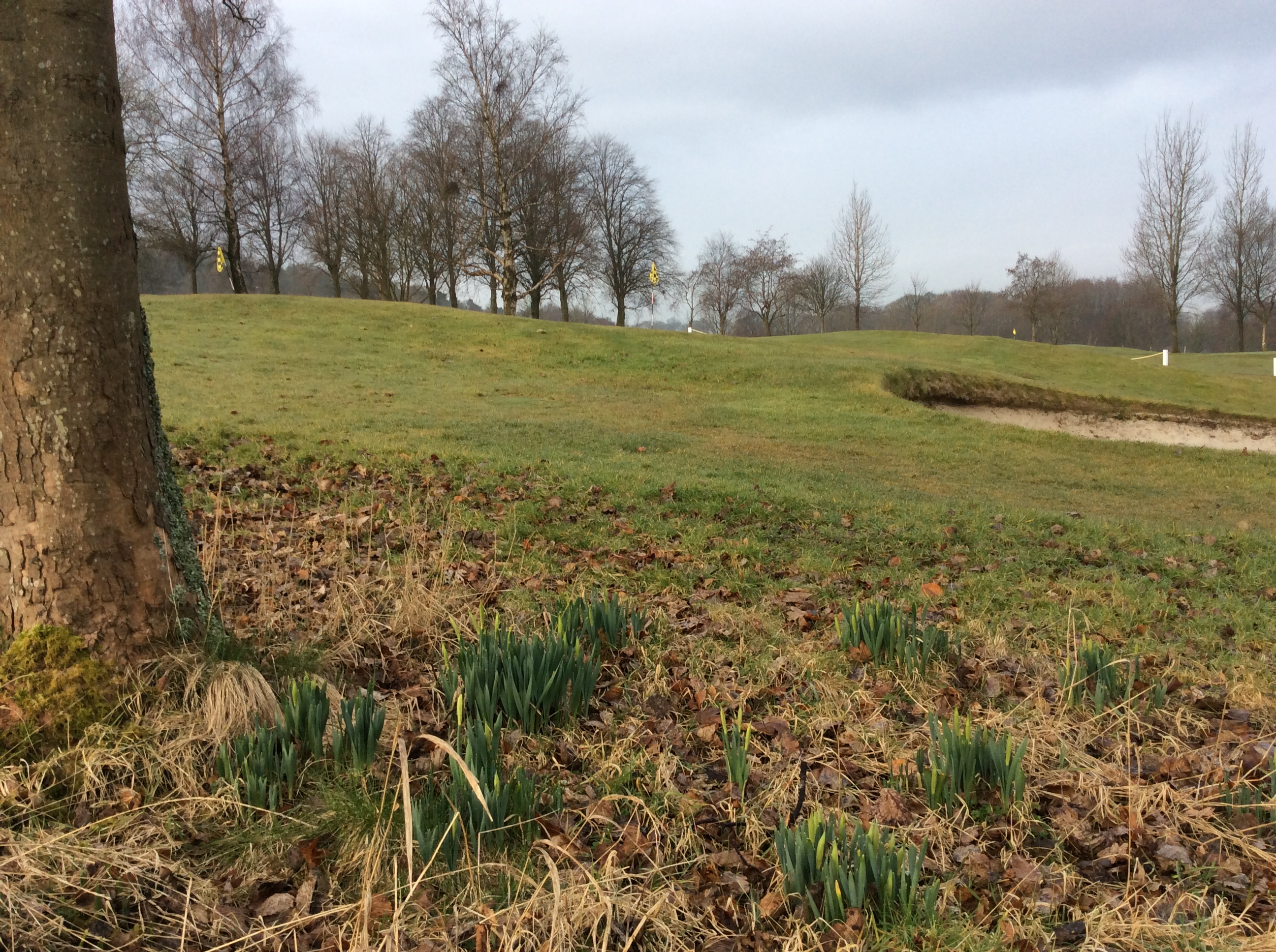 Cold but another good start to the day.