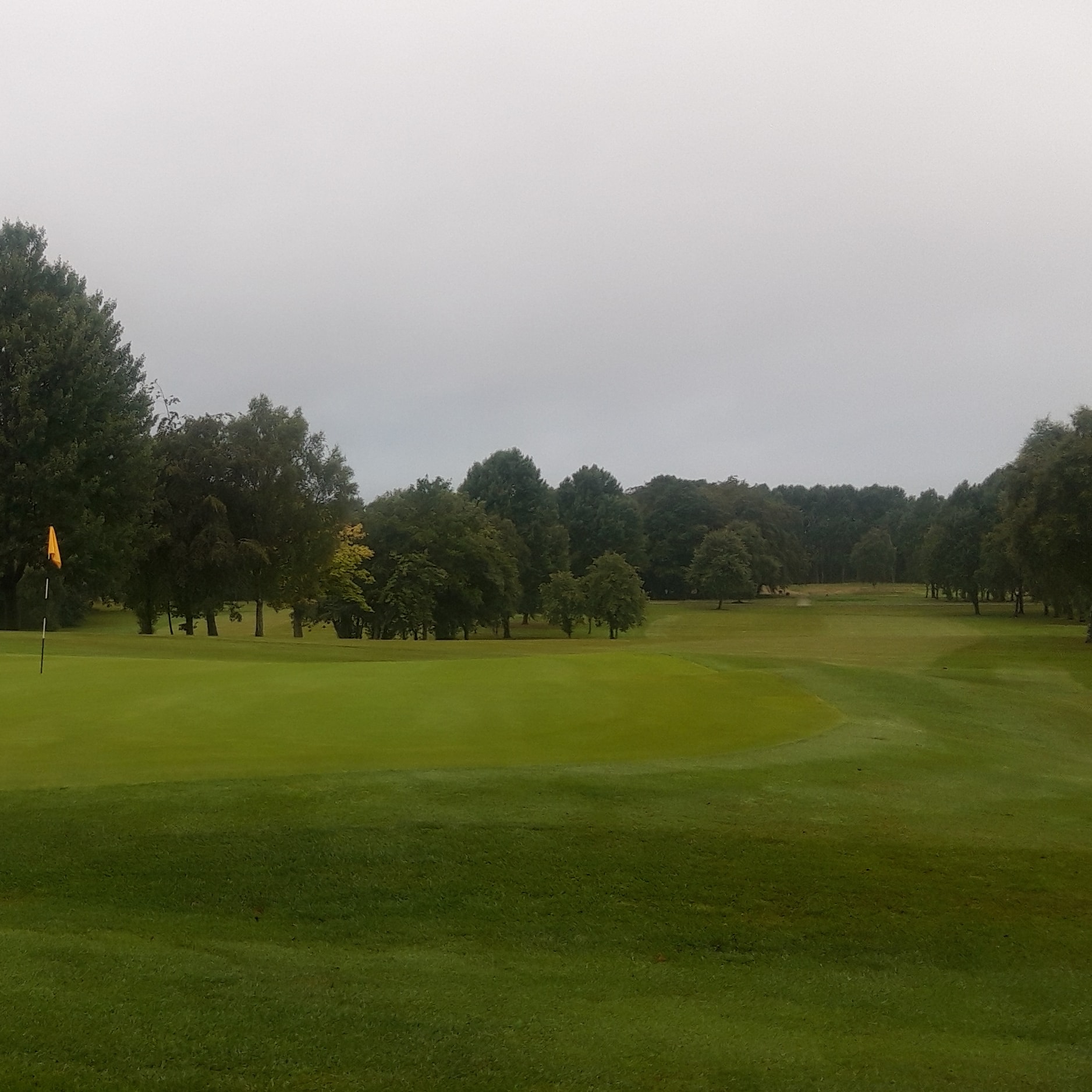 Championship Finalists 