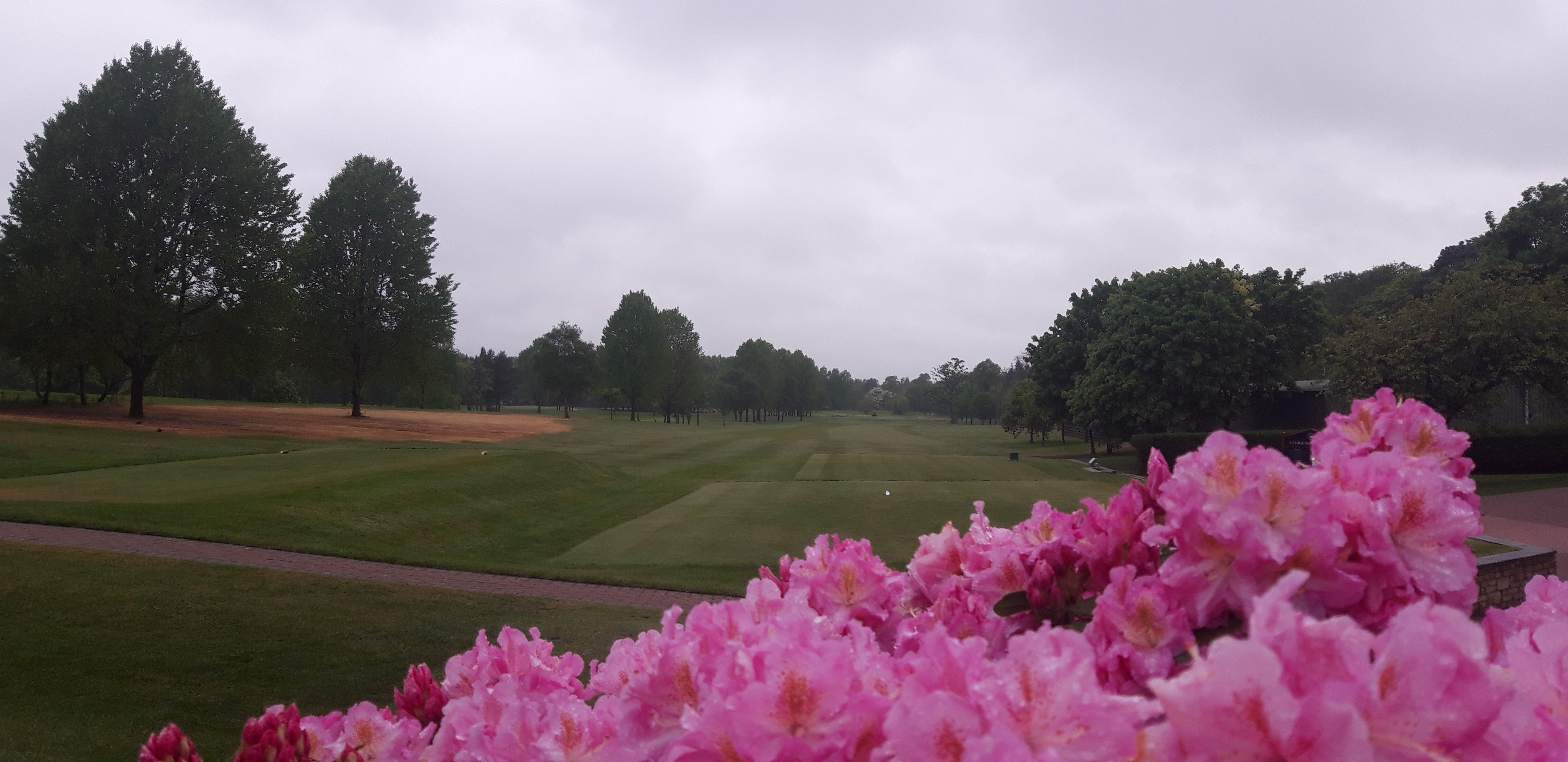 Staff Trophy & Another Excellent Junior Win