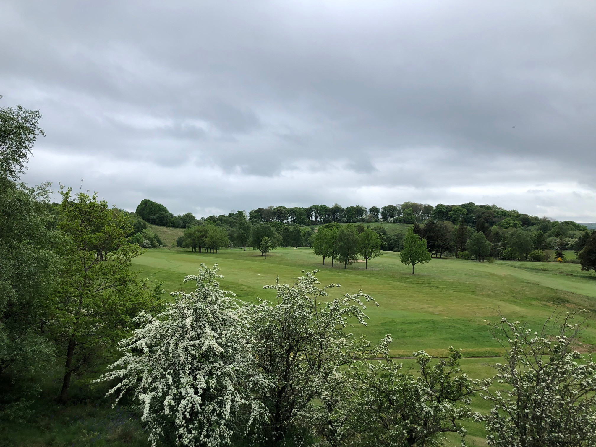 F.I.T & Brand Putter Match