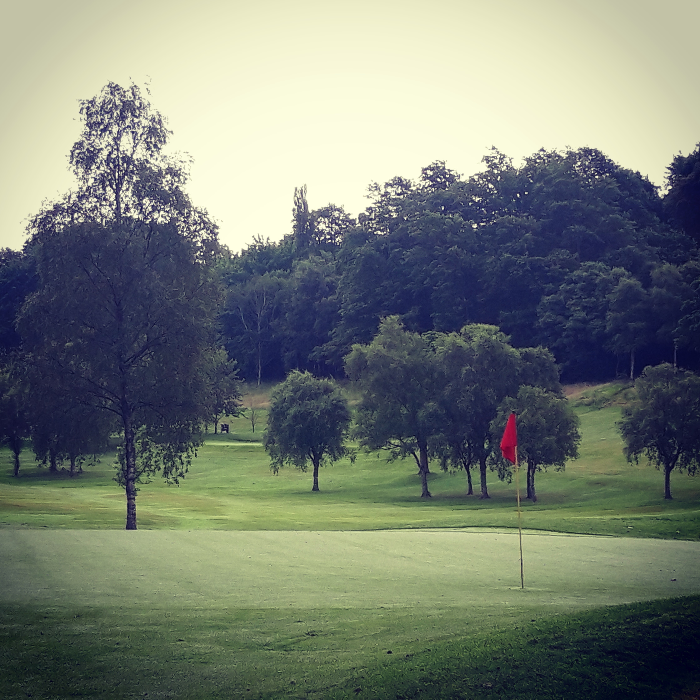 Club Championship results