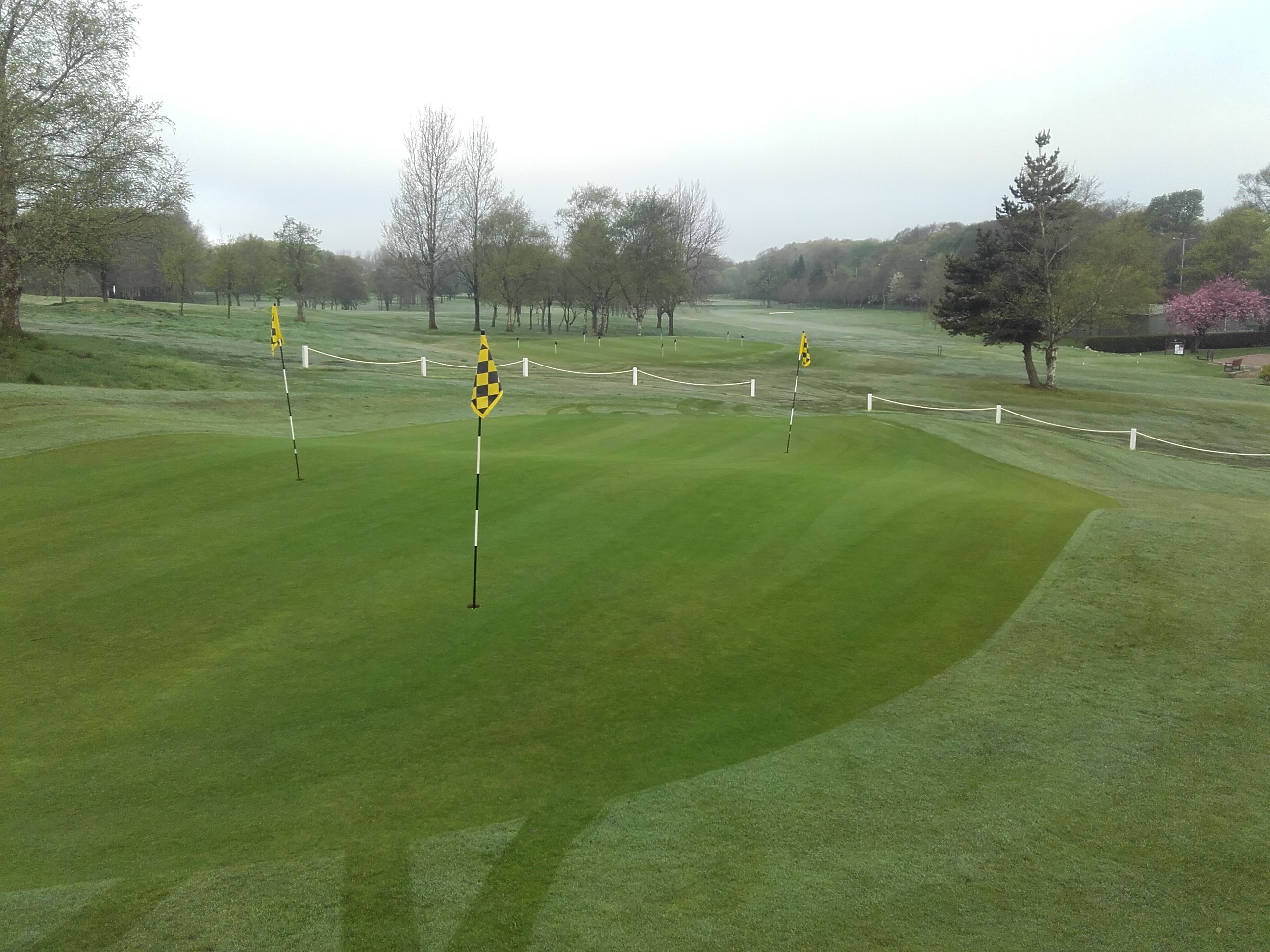 New Members Get Together