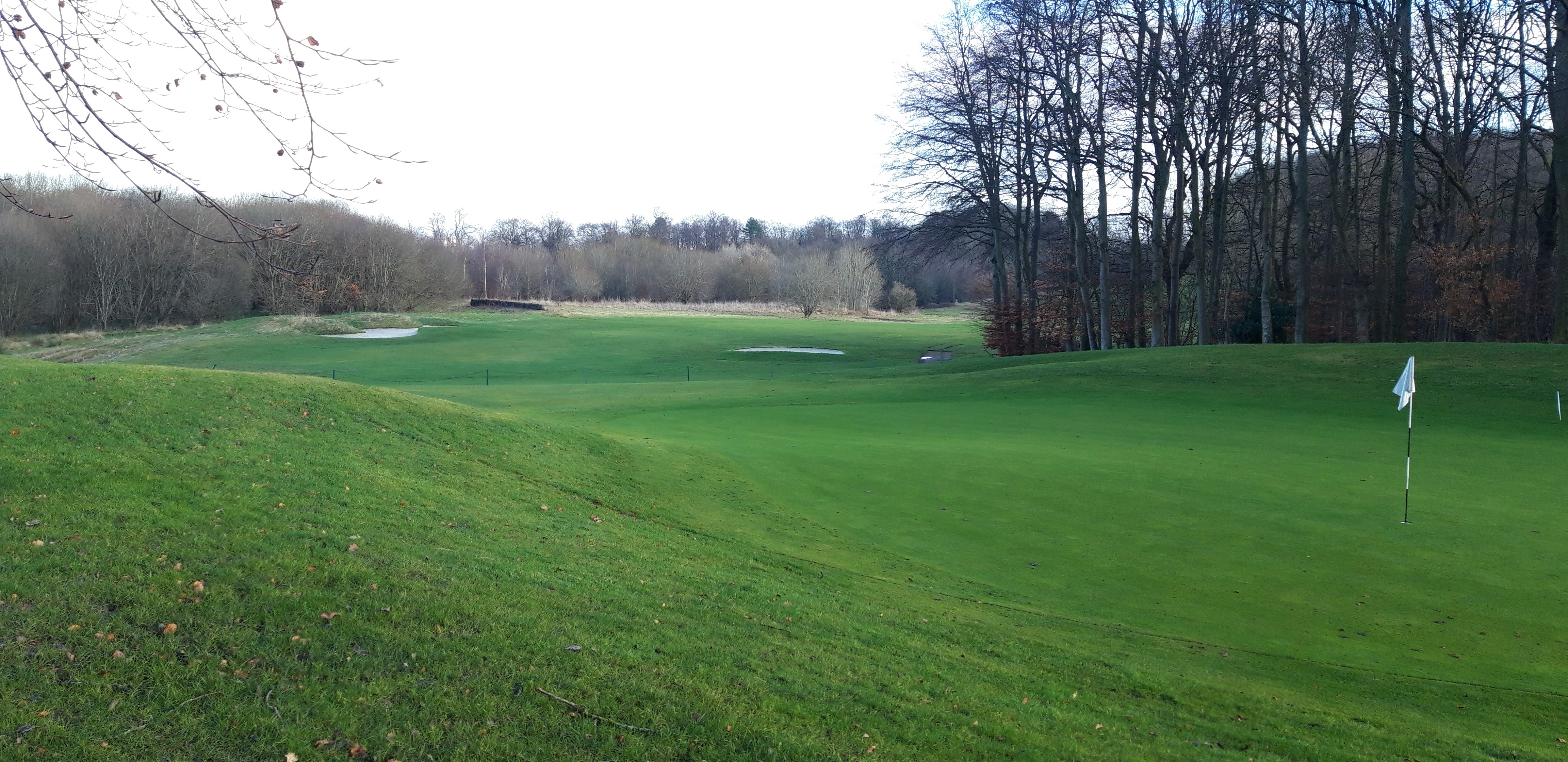 All greens and buggies on.
