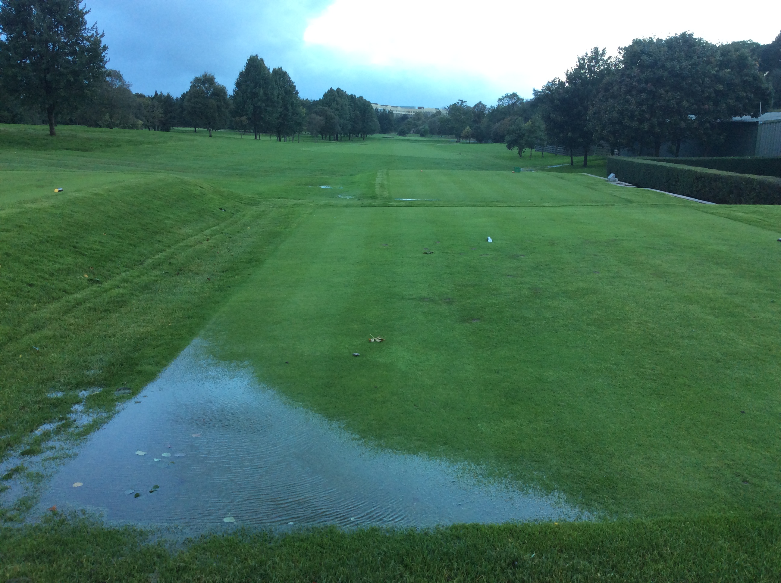 Golphin Junior Flag Event 