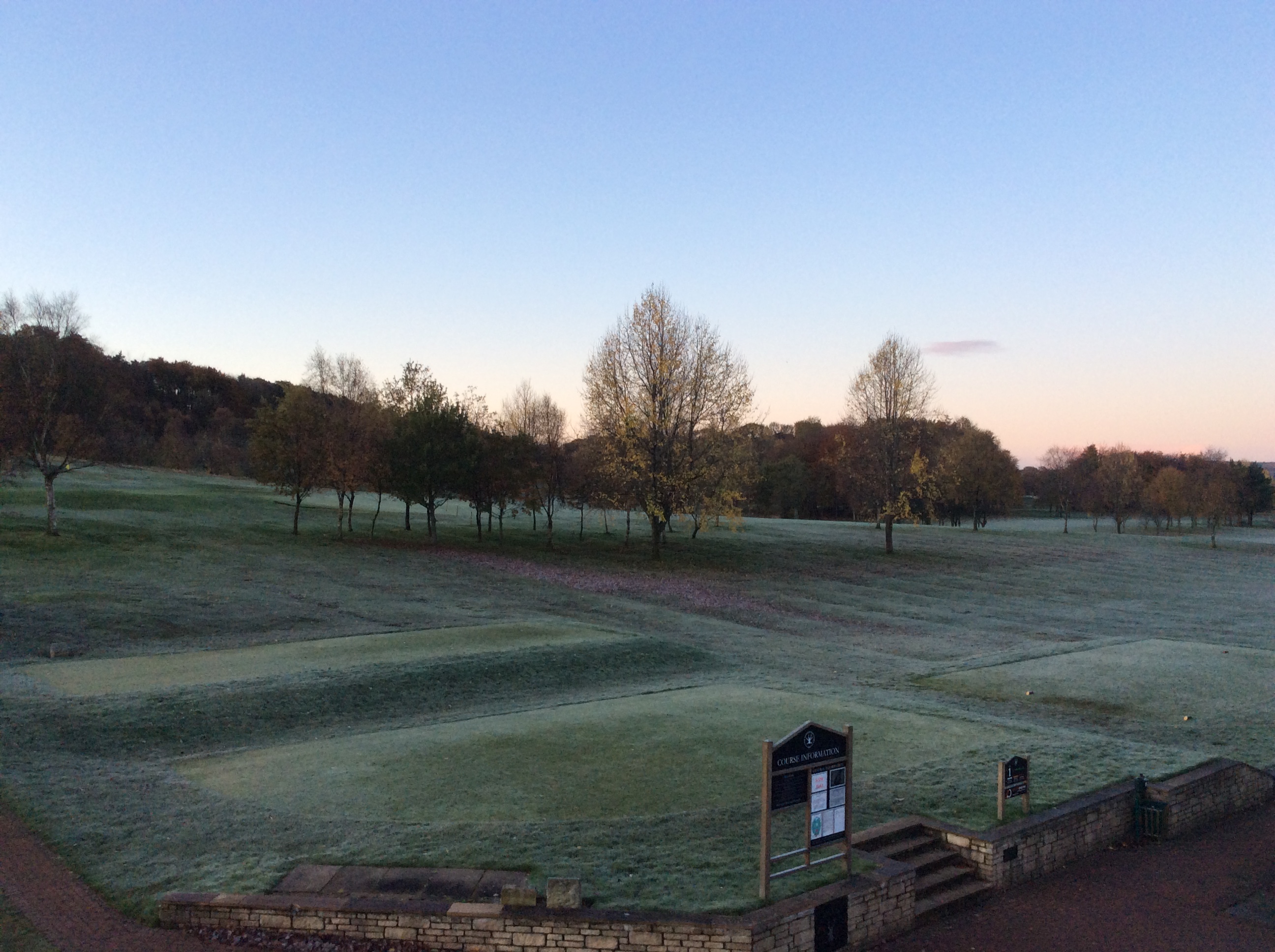 Winter Greens Due to Frost