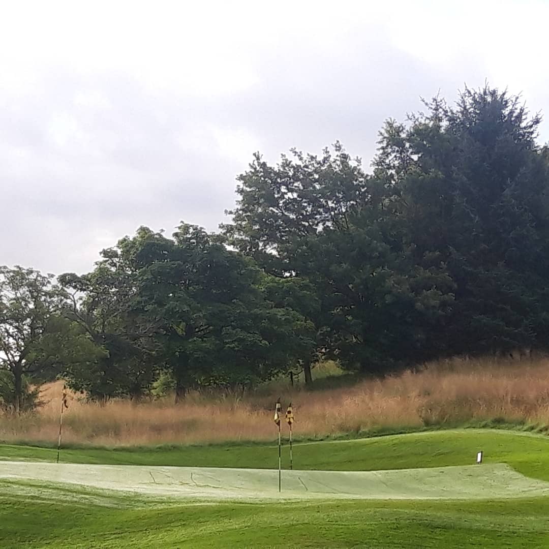 Mini Renovations to Greens 