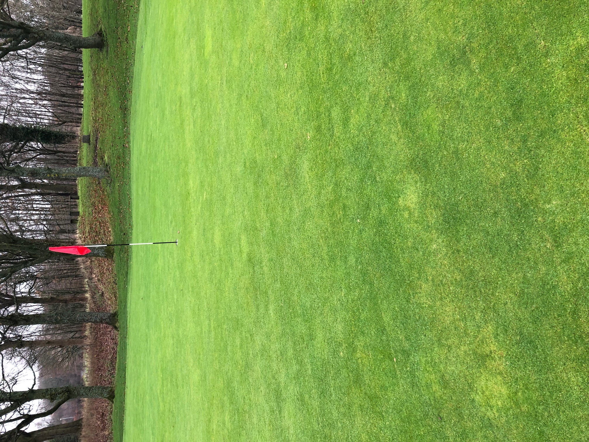 15 Full Greens in play