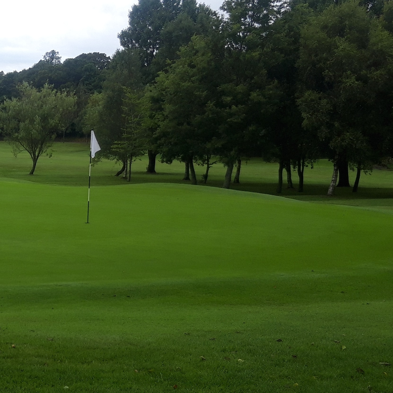 Glasgow Junior Championship 